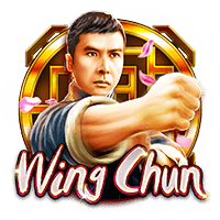 Wing chun